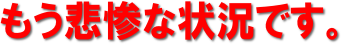 画像の説明