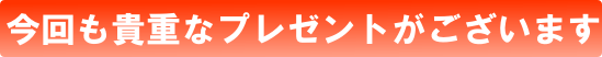 画像の説明 画像の説明