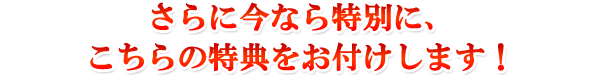 さらに今なら特別に、こちらの特典をお付けします!