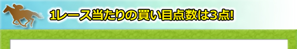 1レース当たりの買い目点数は3点!