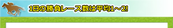 1日の勝負レース数は平均1〜2!