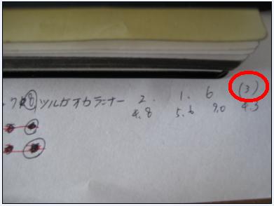 画像の説明